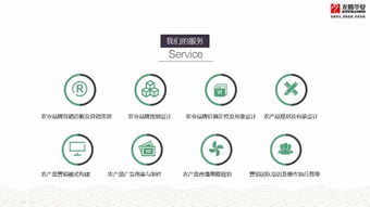 成都農業(yè)品牌策劃營銷與產品包裝設計服務